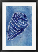 Cerulean Shells II Framed Print