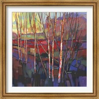 Framed 'Patchwork Trees I' border=