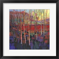 Framed 'Patchwork Trees II' border=