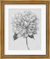 Framed 'Silvertone Floral I' border=