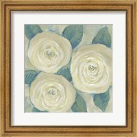 Framed 'Roses in Bloom I' border=