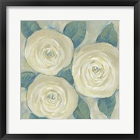 Framed 'Roses in Bloom I' border=