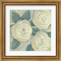 Framed 'Roses in Bloom II' border=