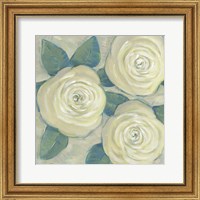 Framed 'Roses in Bloom II' border=