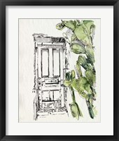 Cactus Door II Framed Print