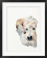 Framed Scruffy Puppy I