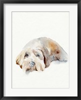 Framed Scruffy Puppy II