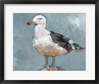 Seagull Stance II Framed Print