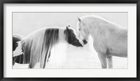 Framed Collection of Horses III