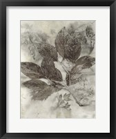 Dogwood Leaves II Framed Print