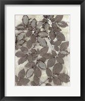 Framed Rose Leaves