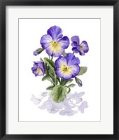 Viola Pansies I Framed Print