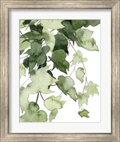 Framed 'Emerald Vines I' border=