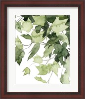 Framed 'Emerald Vines II' border=