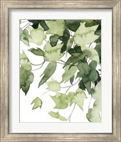 Framed 'Emerald Vines II' border=