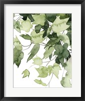 Emerald Vines II Framed Print