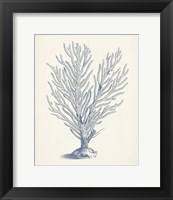 Framed 'Antique Coral Collection II' border=