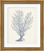 Framed 'Antique Coral Collection II' border=