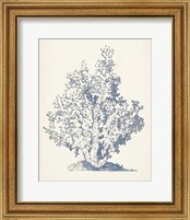 Framed 'Antique Coral Collection IV' border=