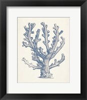 Framed 'Antique Coral Collection VI' border=