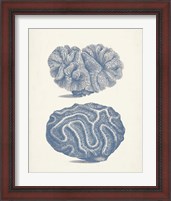 Framed 'Antique Coral Collection IX' border=