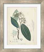 Framed 'Vintage Verdure I' border=