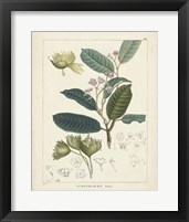 Framed 'Vintage Verdure II' border=