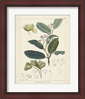 Framed 'Vintage Verdure II' border=