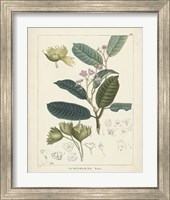 Framed 'Vintage Verdure II' border=