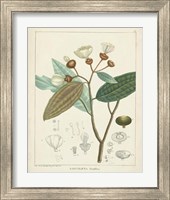 Framed 'Vintage Verdure III' border=