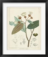 Framed 'Vintage Verdure III' border=