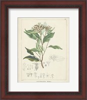 Framed 'Vintage Verdure IV' border=