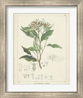 Framed 'Vintage Verdure IV' border=