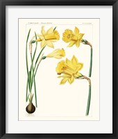 Framed Bright Botanicals I