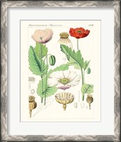 Framed 'Bright Botanicals II' border=