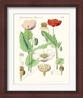 Framed 'Bright Botanicals II' border=