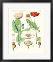 Bright Botanicals II Framed Print