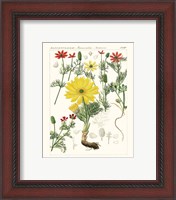 Framed 'Bright Botanicals IV' border=