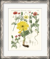 Framed 'Bright Botanicals IV' border=