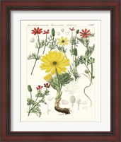 Framed 'Bright Botanicals IV' border=