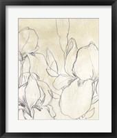 Framed Iris Garden Sketch I