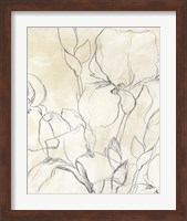 Framed 'Iris Garden Sketch II' border=