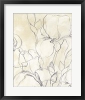 Framed 'Iris Garden Sketch II' border=