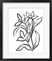 Jonquil Gesture II Framed Print