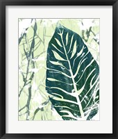 Framed 'Palm Pastiche III' border=