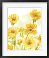 Sunshine Meadow I Framed Print