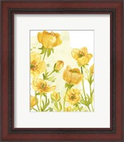 Framed 'Sunshine Meadow II' border=