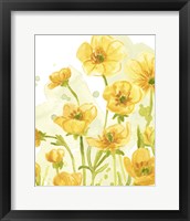 Framed 'Sunshine Meadow IV' border=