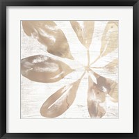 Neutral Palm Fossil III Framed Print