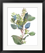 Framed 'Seeded Eucalyptus I' border=